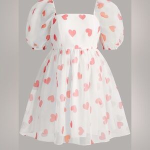 SHEIN Heart Pattern Puff Sleeve Organza Overlay Babydoll Dress